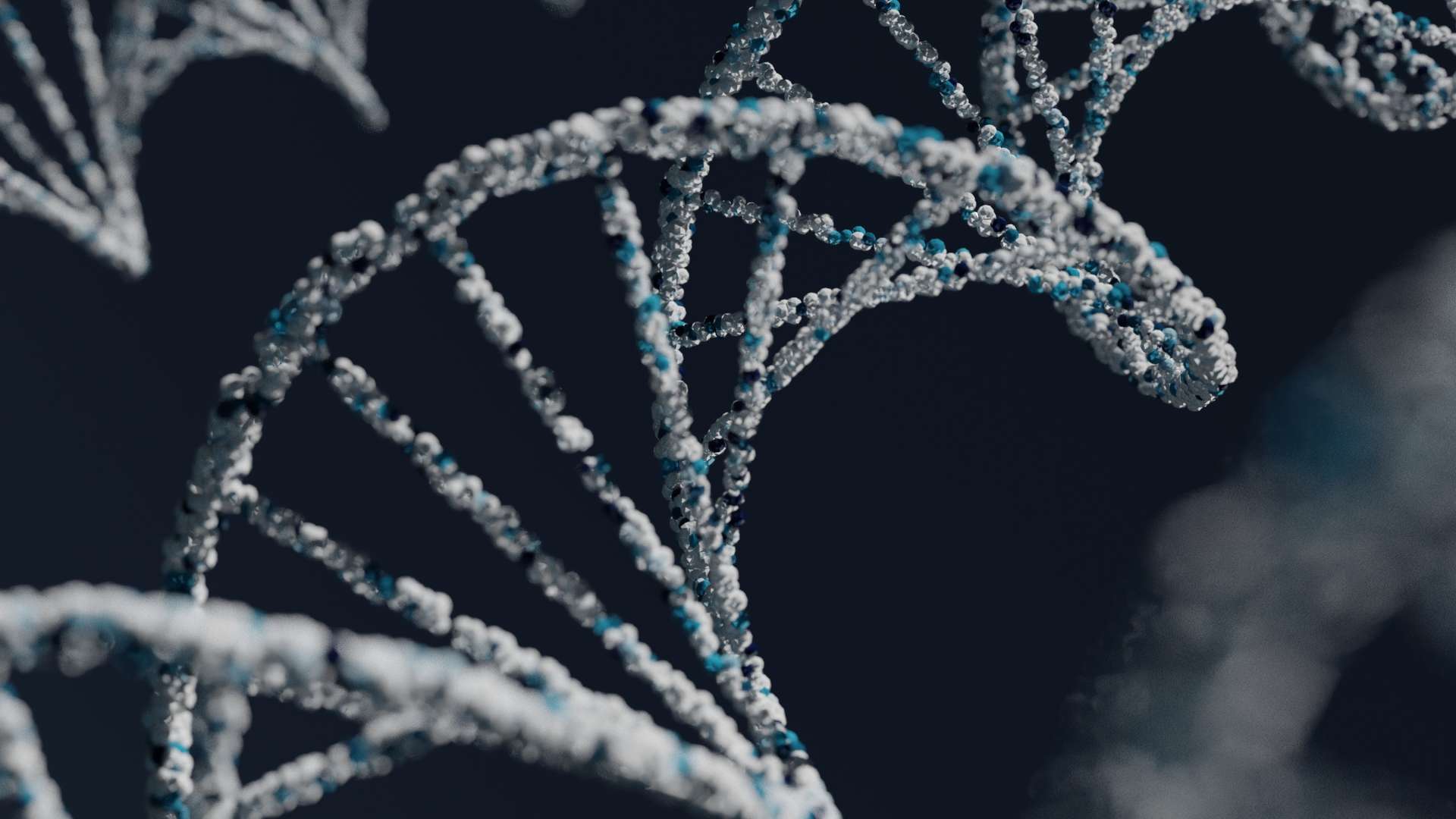 DNA Telomerabrieb Hallmarks Of Aging