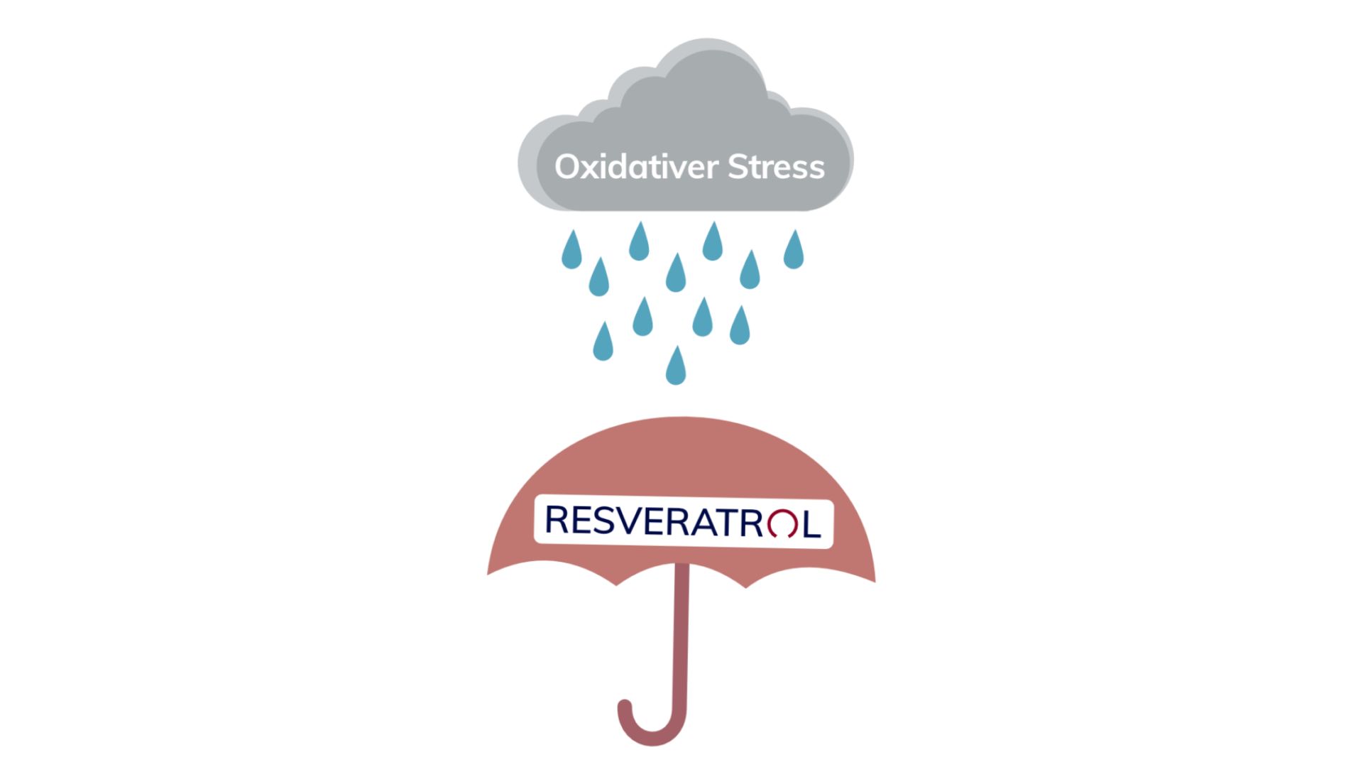 Resveratrol als Schutzschirm vor oxidativem Stress