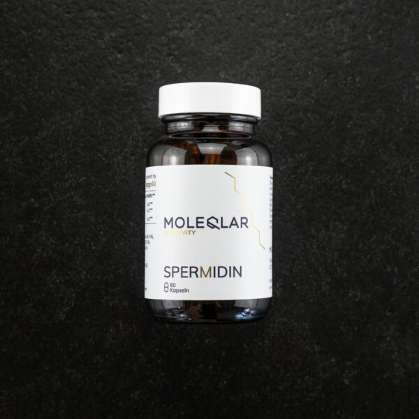 Spermidin hochdosiert (3mg) von MoleQlar.