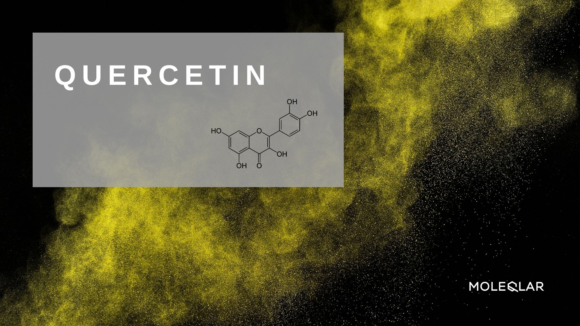 Whatis Quercetin Article image