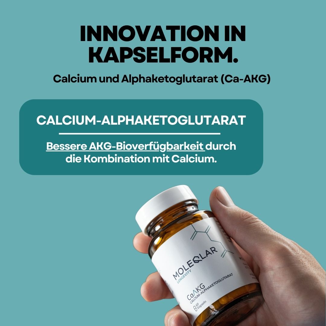 Caakg Calcium Alphaketoglutarat Kapseln 5