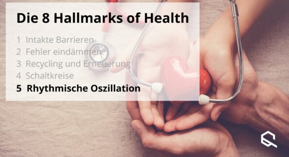 Hallmarksofhealth 5 Oscillation