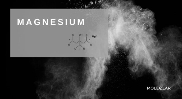 Magnesium Article image
