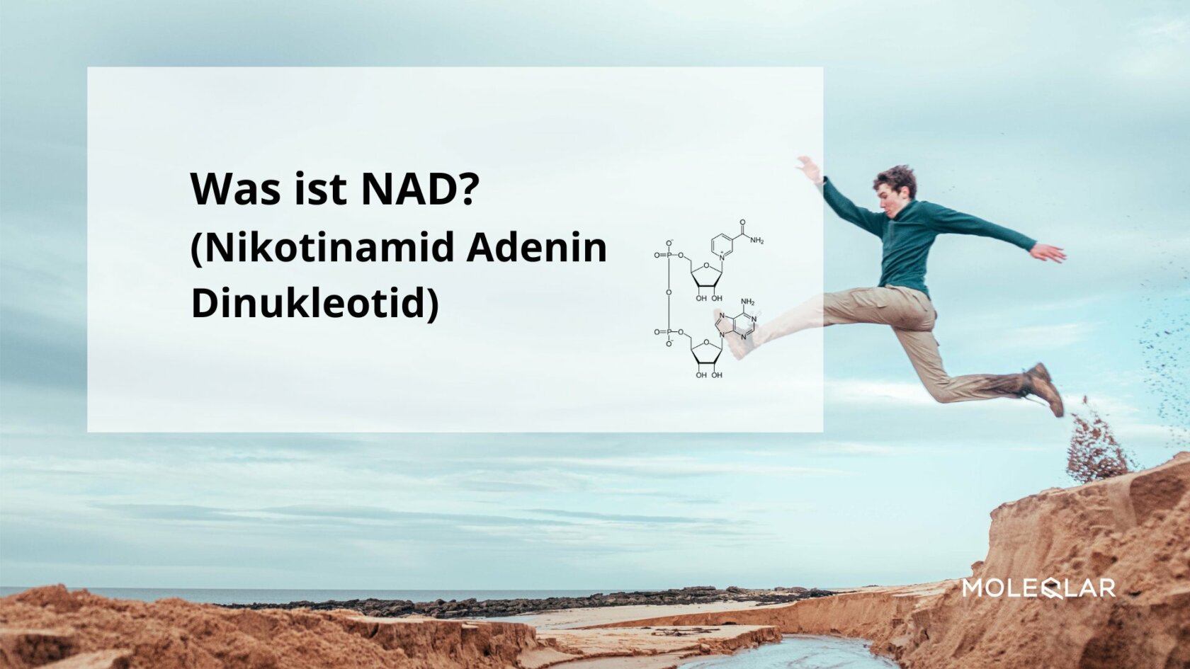 Was ist NAD (Nikotinamid Adenin Dinukleotid)?