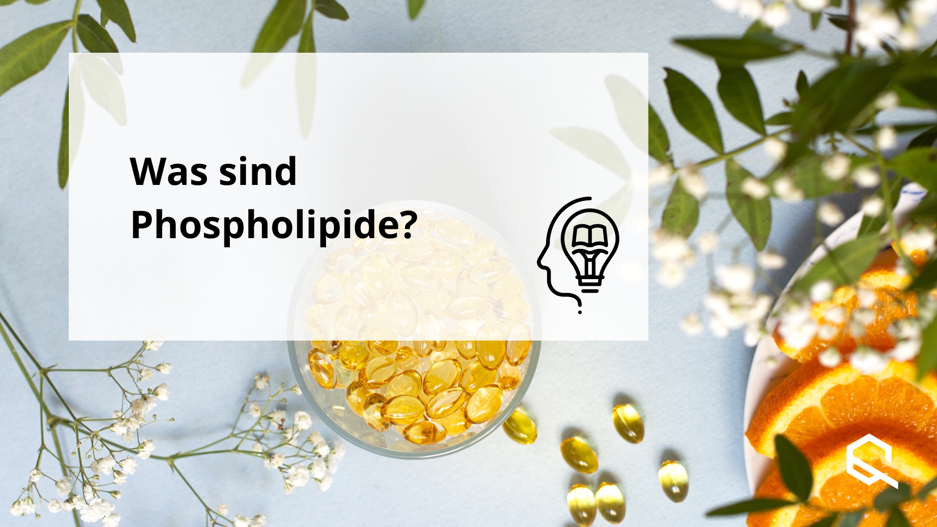 Was sind Phospholipide? Artikelbild