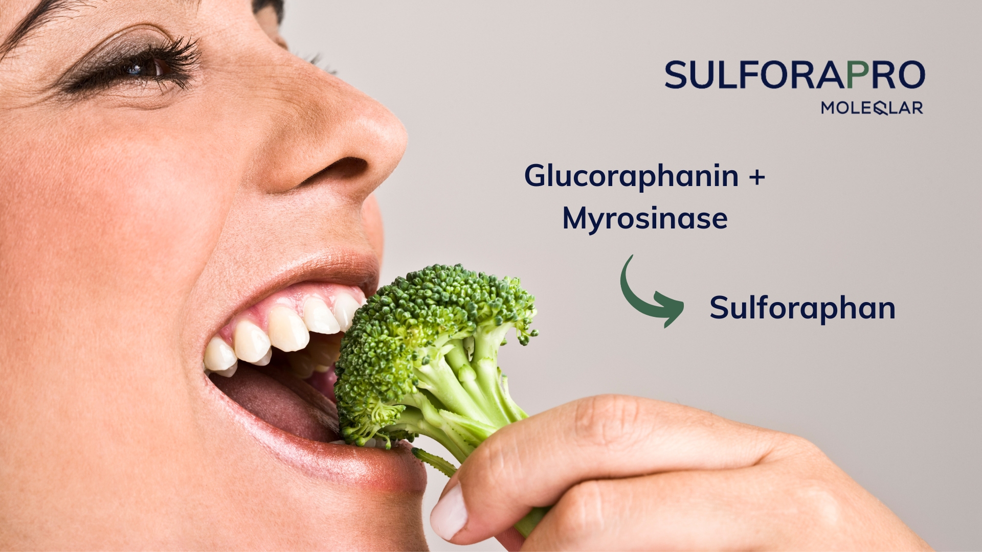 Sulforapro kombiniert Glucoraphanin und Myrosinase mit Brokkoli-Extrakt.