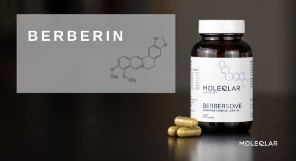 Berbersome - What is berberine?