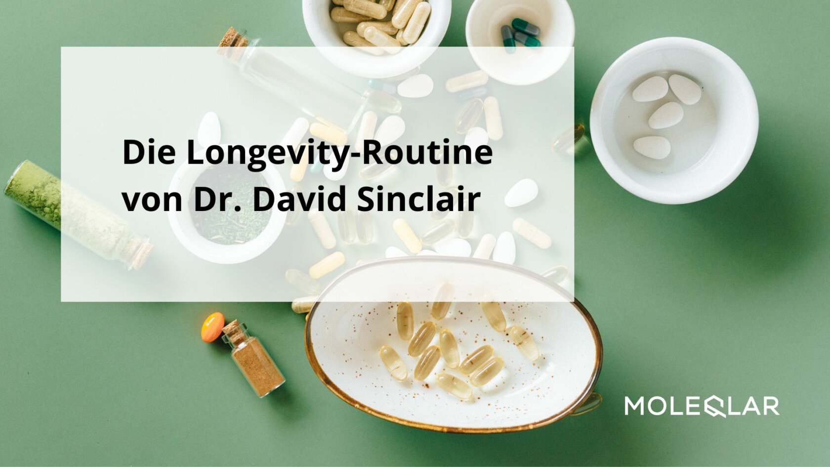 Dr. David Andrew Sinclair - Longevity-Nahrungsergänzung mit Resveratrol, Quercetin, NAD, Spermidin uvm.