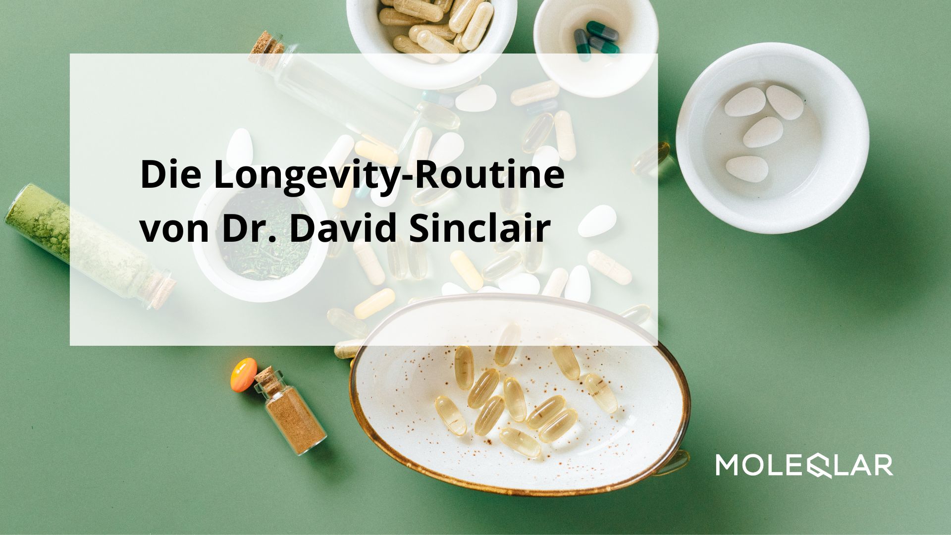 Dr. David Andrew Sinclair - Longevity-Nahrungsergänzung mit Resveratrol, Quercetin, NAD, Spermidin uvm.