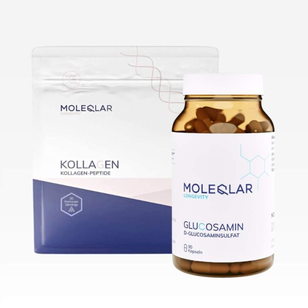 Mobility Kit Kollagen Glucosamin Moleqlar
