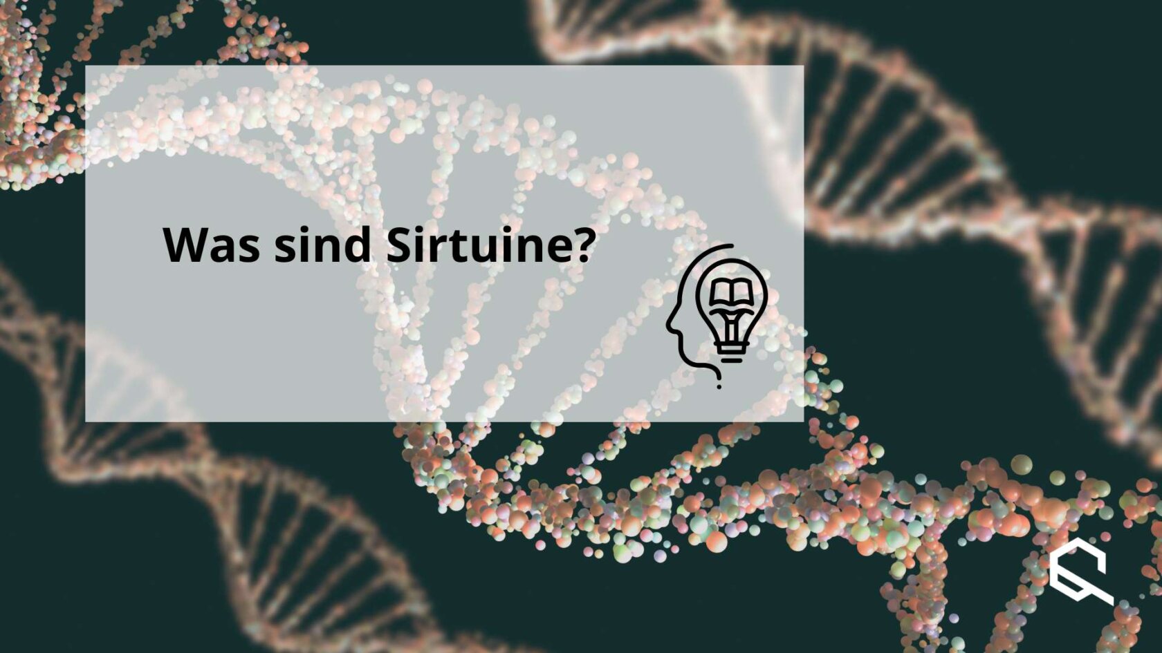 What are sirtuins Sirtuin Diet Epigenetics
