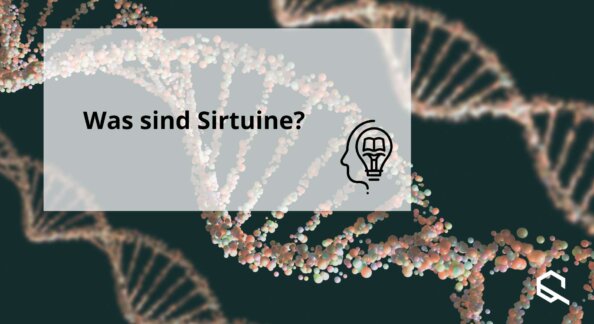 What are sirtuins Sirtuin Diet Epigenetics