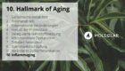 10 Hallmarks Of Aging Inflammaging