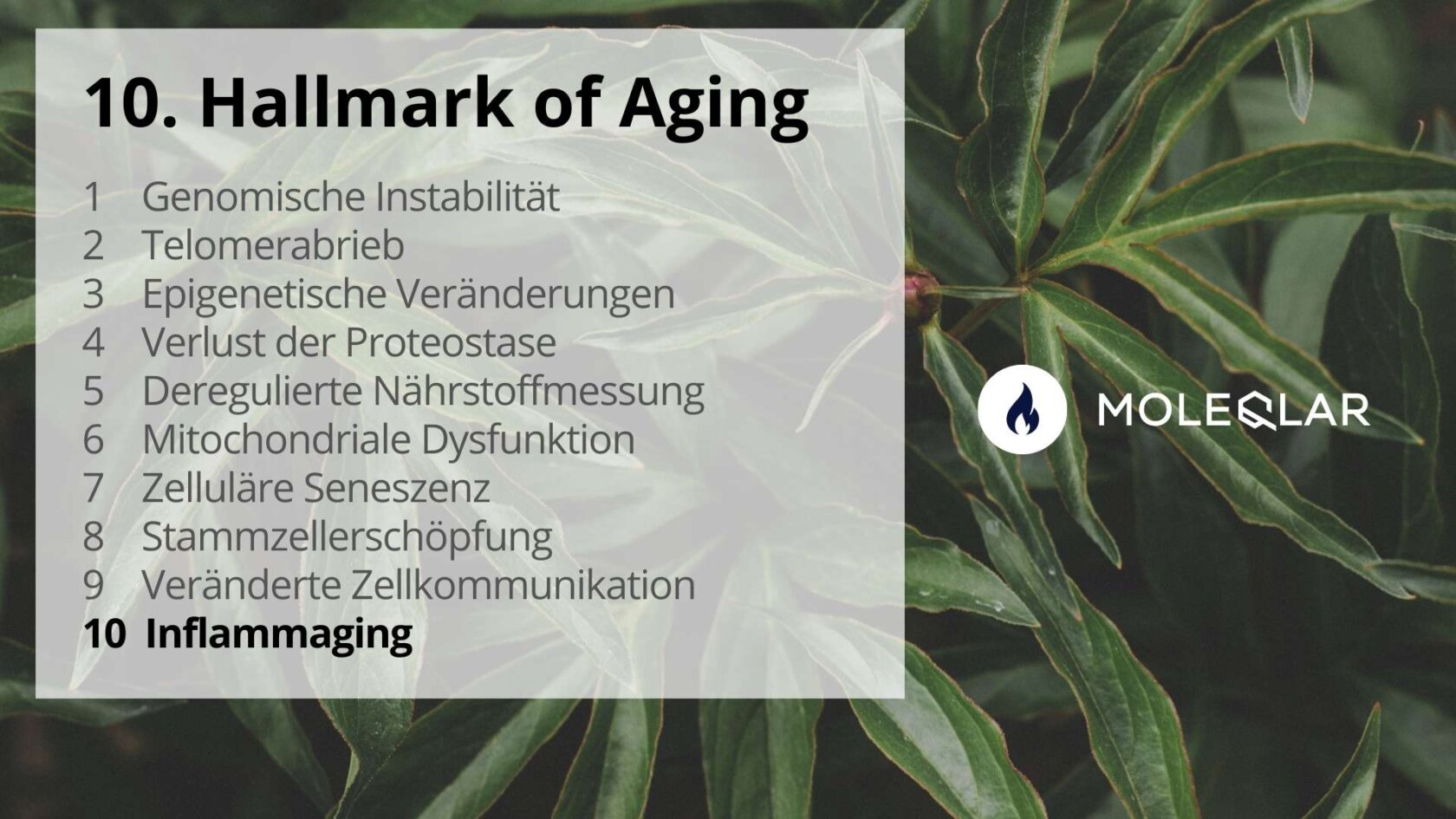10 Hallmarks Of Aging Inflammaging