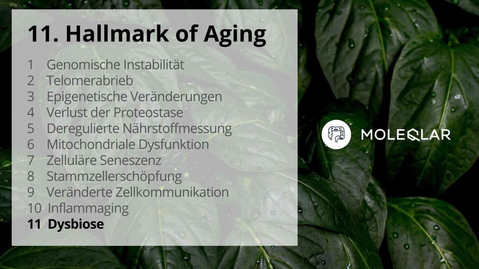 11 Hallmarks Of Aging Dysbiosis