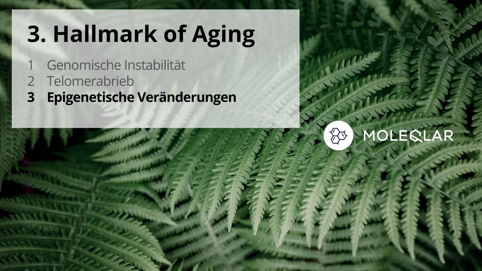 3 Hallmarks Of Aging Epigenetische Veränderungen