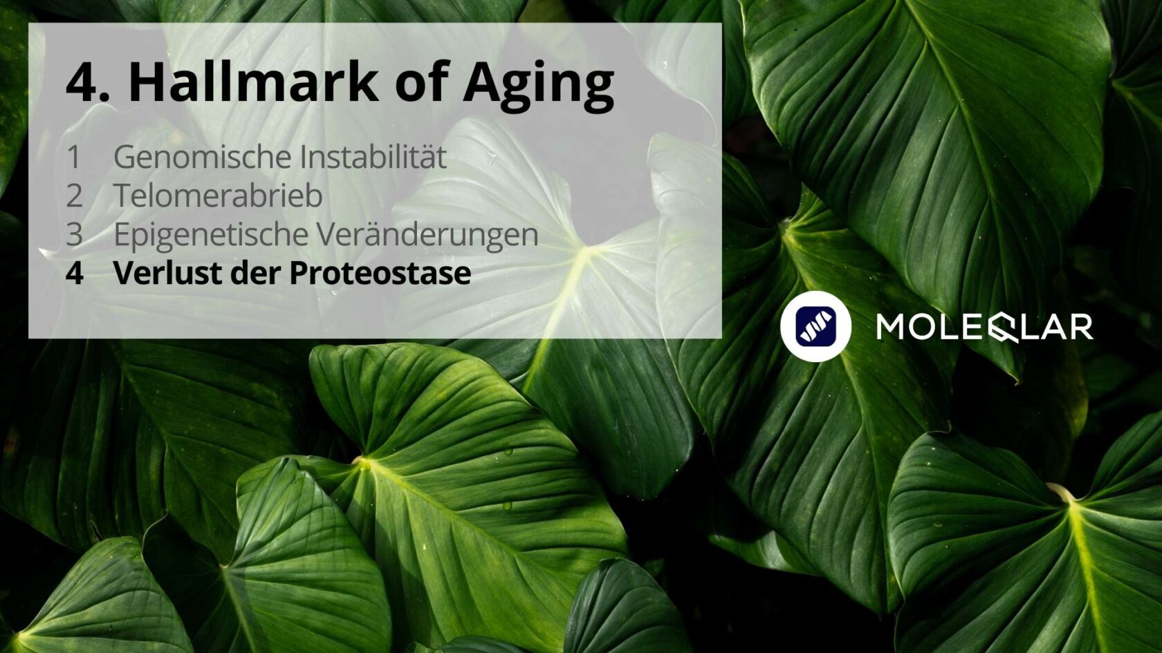 4 Hallmarks Of Aging Verlust Der Proteostase