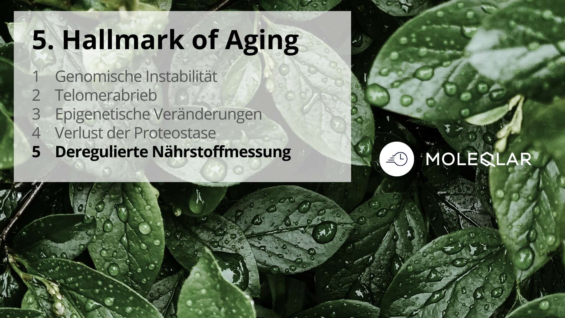 5 Hallmarks Of Aging Deregulated Nutrient Measurement