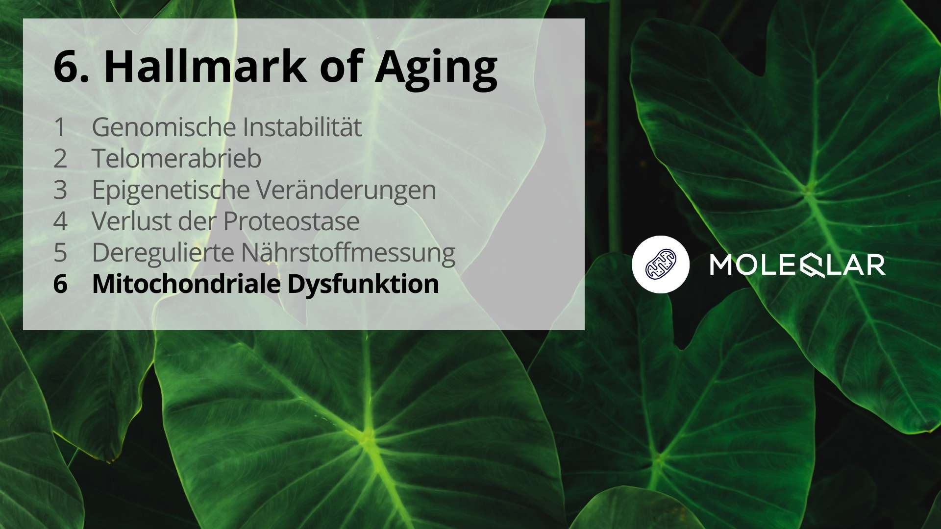 6 Hallmarks Of Aging Mitochondrial Dysfunction