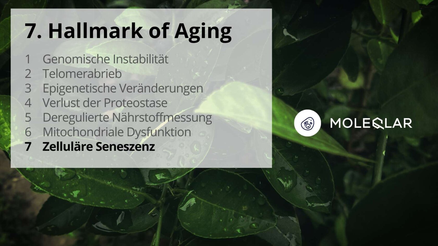 7 Hallmarks Of Aging Cellular Senescence