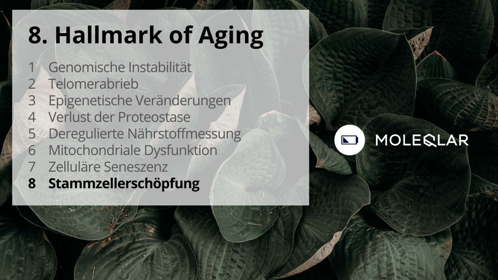 8 Hallmarks Of Aging Stammzellerschöpfung