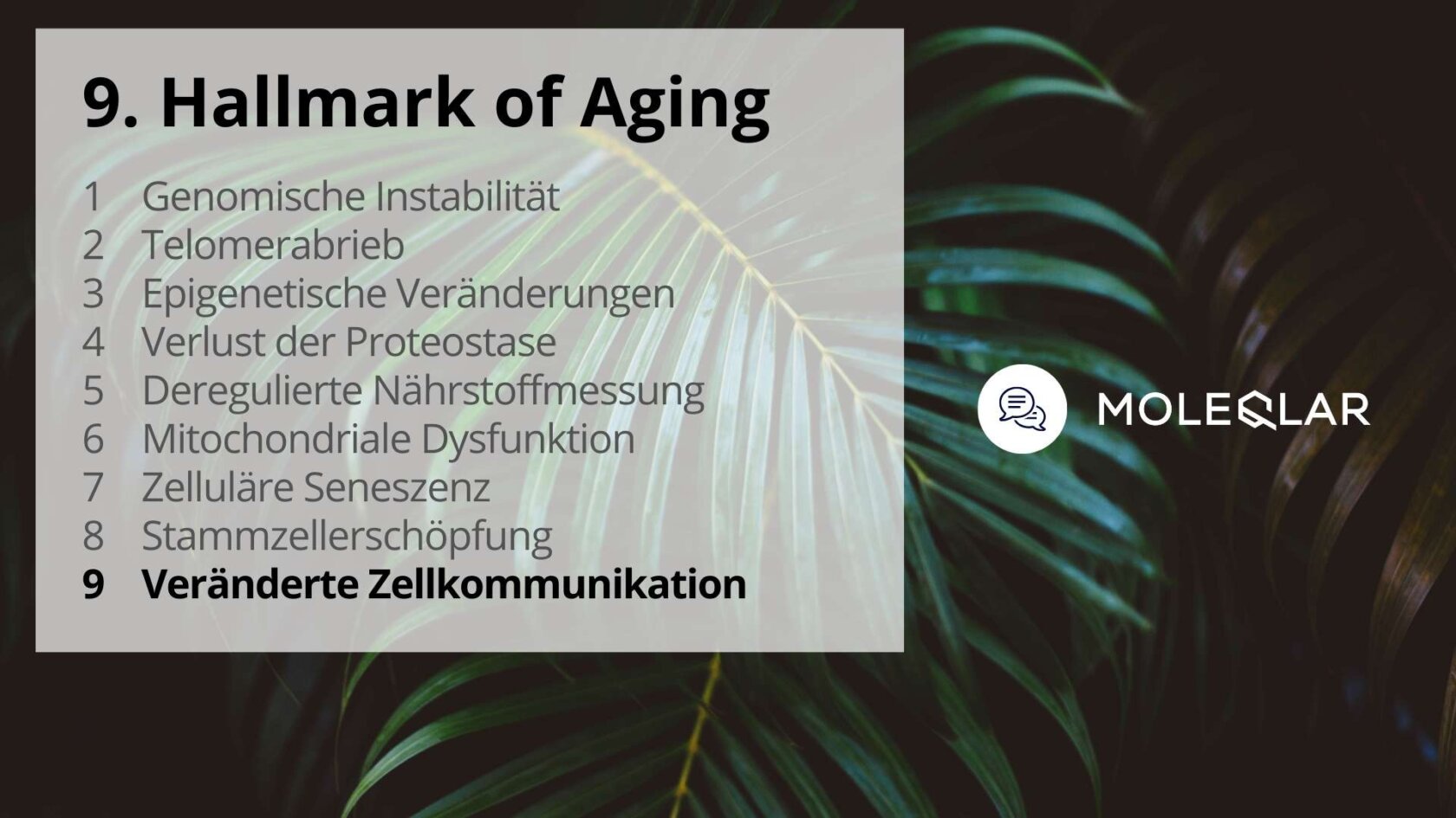 9 Hallmarks Of Aging Zellkommunikation